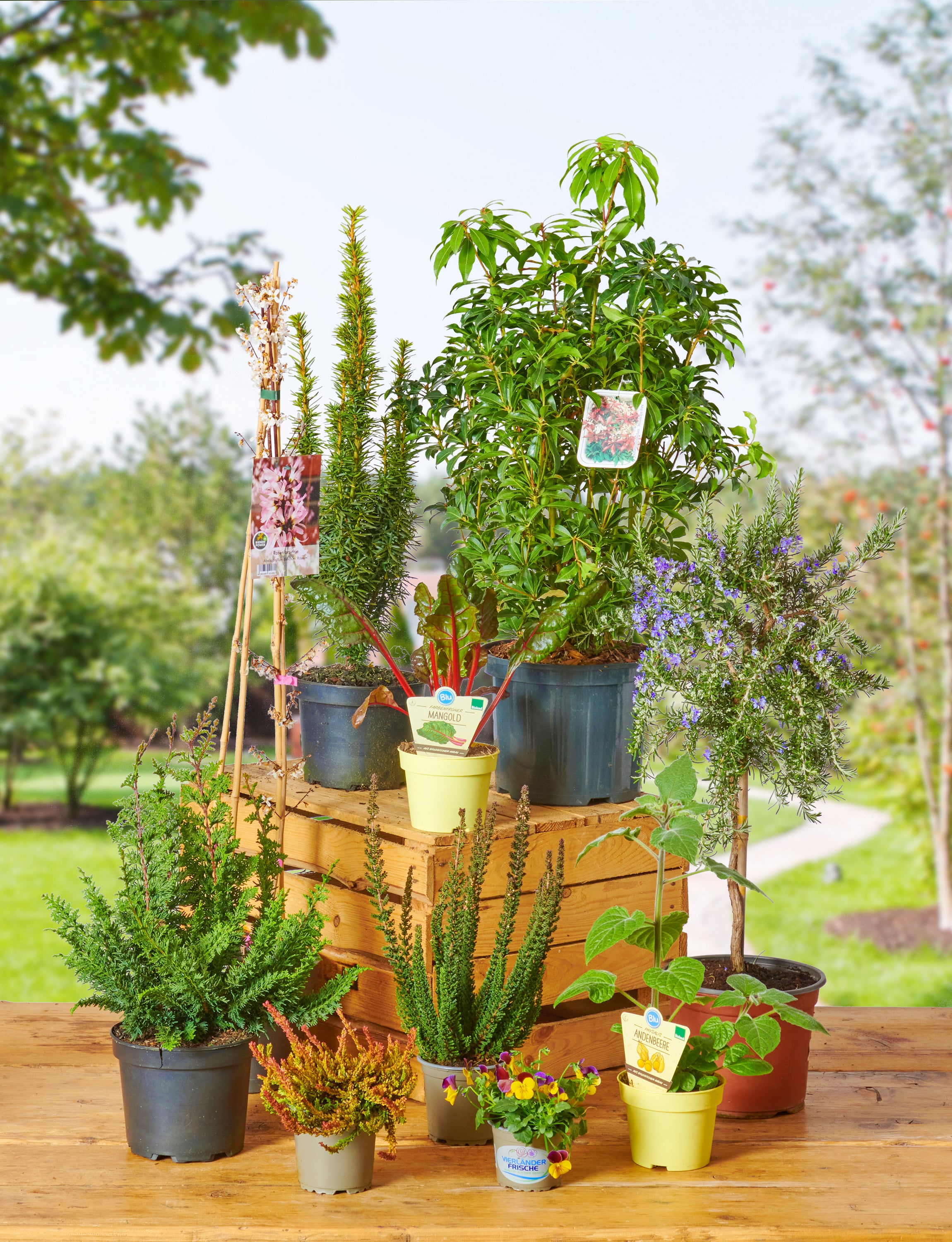 Garten Pflanzenbox
